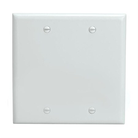 Cmple Blank 2 Gang Thermoplastic Panel Wall Plate GFCI, White 232-N
